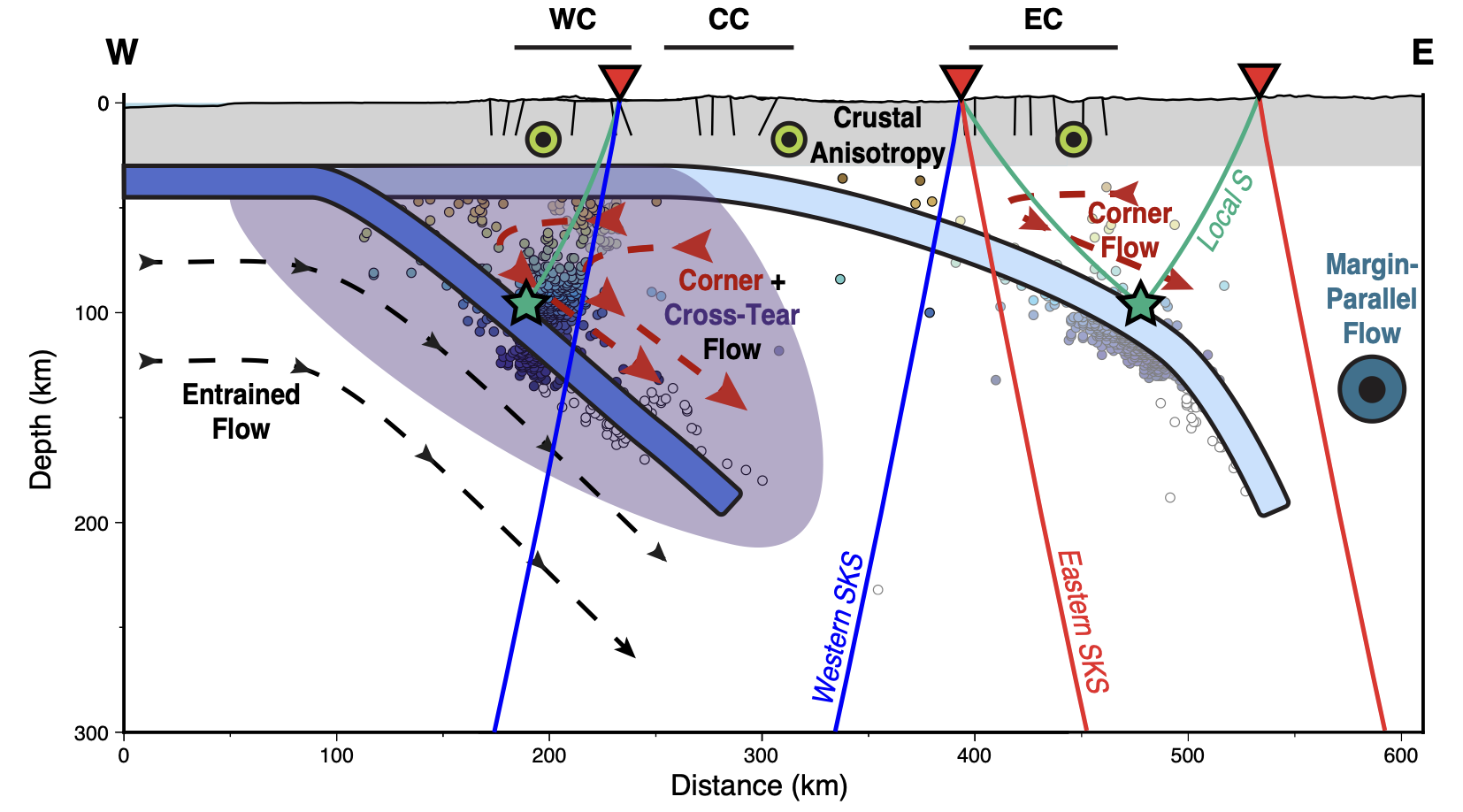 Anisotropy and flow below Northwestern South America.