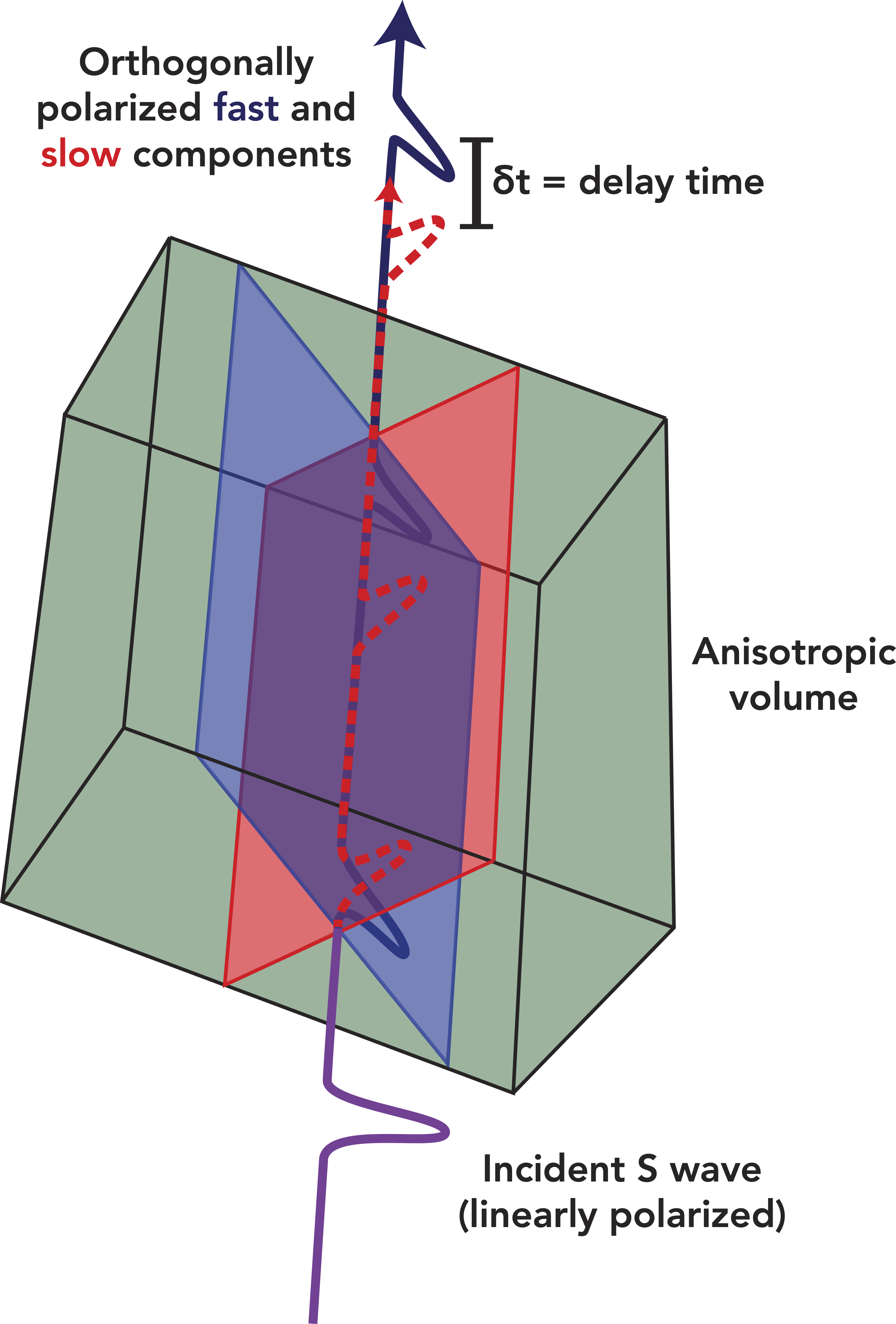 Shear-wave splitting cartoon. (Courtesy of Ed Garnero)